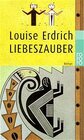 Buchcover Liebeszauber