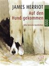 Buchcover Auf den Hund gekommen