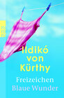 Buchcover Freizeichen / Blaue Wunder