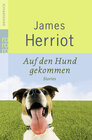 Buchcover Auf den Hund gekommen