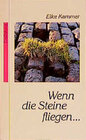 Buchcover Wenn die Steine fliegen