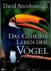 Buchcover Das geheime Leben der Vögel