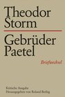 Buchcover Theodor Storm - Gebrüder Paetel