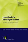 Buchcover Immaterielle Vermögenswerte