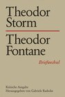 Buchcover Theodor Storm – Theodor Fontane