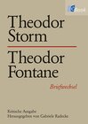 Buchcover Theodor Storm – Theodor Fontane