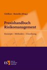 Buchcover Praxishandbuch Risikomanagement