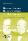 Buchcover Theodor Storm - Theodor Fontane Der Briefwechsel