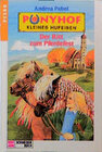 Buchcover Ponyhof Kleines Hufeisen / Der Ritt zum Pferdefest