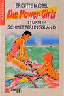 Buchcover Die Power-Girls / Sturm im Schmetterlingsland