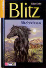 Buchcover Blitz bricht aus