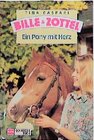 Buchcover Bille und Zottel / Ein Pony mit Herz