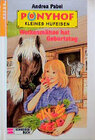 Buchcover Ponyhof Kleines Hufeisen / Wolkenmähne hat Geburtstag