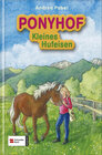 Buchcover Ponyhof Kleines Hufeisen