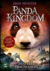 Buchcover Panda Kingdom - Düsterer Drachenberg