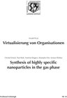 Buchcover Virtualisierung von Organisationen. Synthesis of highly specific Nanoparticles in the gas phase