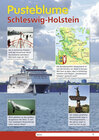 Buchcover Pusteblume Sachunterricht - Ausgabe 2011 für das 4. Schuljahr in Hamburg und Schleswig-Holstein