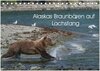 Buchcover Grizzlybären im Katmai Nationalpark Alaska (Tischkalender 2026 DIN A5 quer), CALVENDO Monatskalender