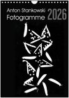 Buchcover Anton Stankowski Fotogramme (Wandkalender 2026 DIN A4 hoch), CALVENDO Monatskalender