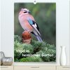 Buchcover Vögel im heimischen Garten (hochwertiger Premium Wandkalender 2026 DIN A2 hoch), Kunstdruck in Hochglanz