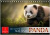 Buchcover Panda - die Stimme der Wildnis (Tischkalender 2026 DIN A5 quer), CALVENDO Monatskalender