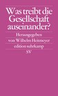 Buchcover Was treibt die Gesellschaft auseinander?