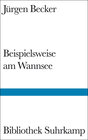 Buchcover Beispielsweise am Wannsee