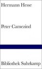 Buchcover Peter Camenzind