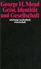 Buchcover Geist, Identität und Gesellschaft