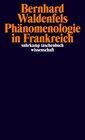Buchcover Phänomenologie in Frankreich