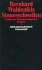 Buchcover Sinnesschwellen