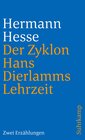 Buchcover Der Zyklon und Hans Dierlamms Lehrzeit