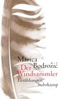 Buchcover Der Windsammler