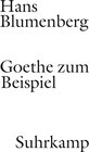 Buchcover Goethe zum Beispiel