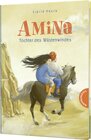 Buchcover Amina – Tochter des Wüstenwindes