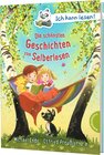 Buchcover Ich kann lesen!: Die schönsten Geschichten zum Selberlesen