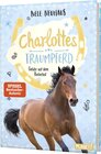 Buchcover Charlottes Traumpferd 2: Gefahr auf dem Reiterhof