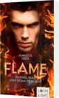 Buchcover Flame 2: Dunkelherz und Schattenlicht