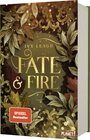 Buchcover Die Nordlicht-Saga 1: Fate and Fire