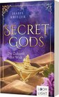Buchcover Secret Gods 2: Die Zukunft der Welt