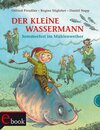 Buchcover Der kleine Wassermann: Sommerfest im Mühlenweiher