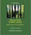 Buchcover Wie aus Stress Gefühle werden