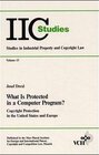 Buchcover What is Protected in a Computer Program?