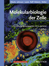 Buchcover Molekularbiologie der Zelle