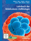 Buchcover Lehrbuch der Molekularen Zellbiologie