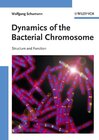 Buchcover Dynamics of the Bacterial Chromosome