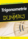 Buchcover Trigonometrie für Dummies