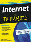 Buchcover Internet für Dummies