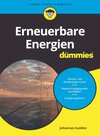 Buchcover Erneuerbare Energien für Dummies