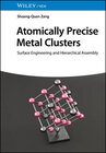 Buchcover Atomically Precise Metal Clusters